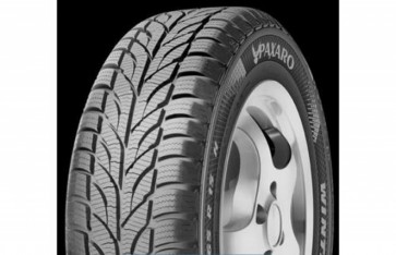 195/65R15 PAXARO PAX WINTER