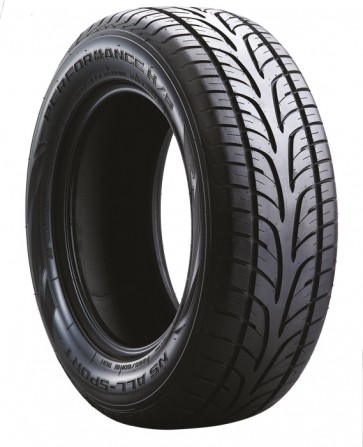 275/55R17 109V N890